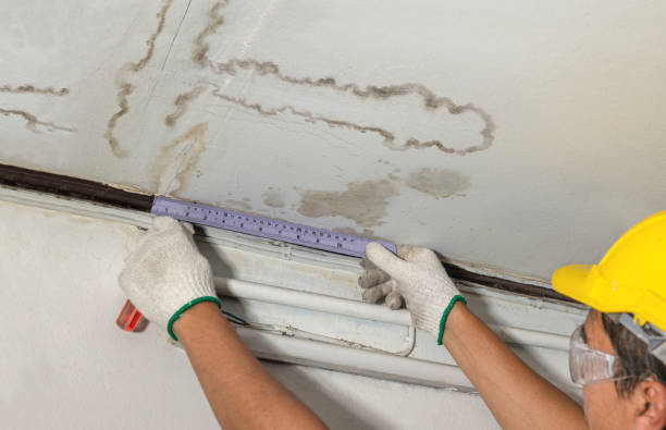 Reliable Mold Remediation contractor in Bourneville, OH by Water Damage Irwin